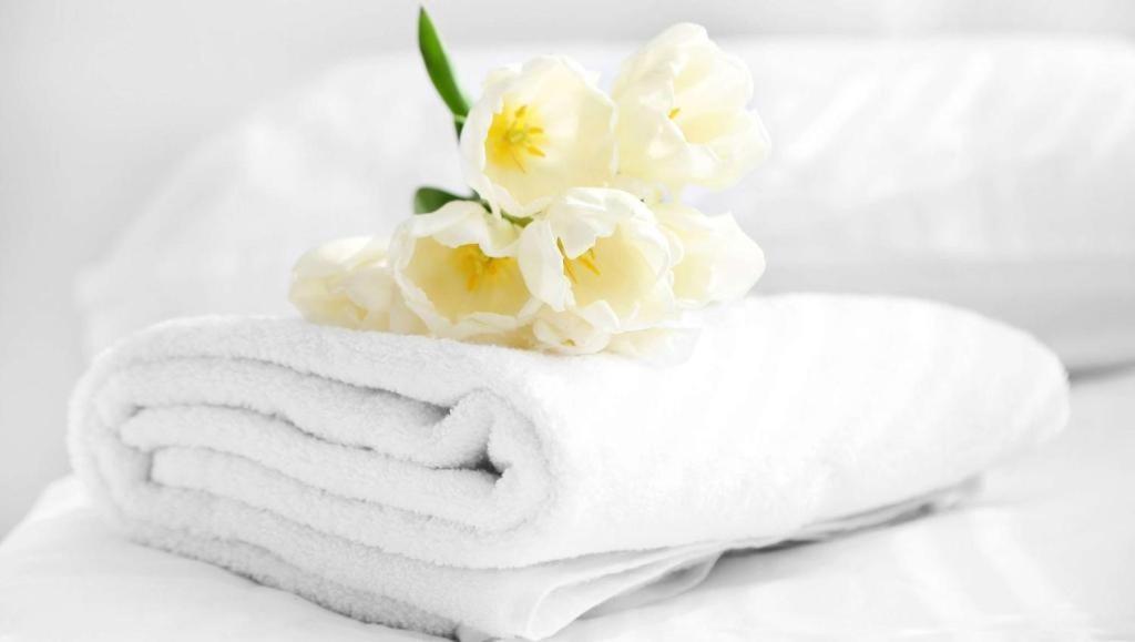 First Western Inn Caseyville Ngoại thất bức ảnh